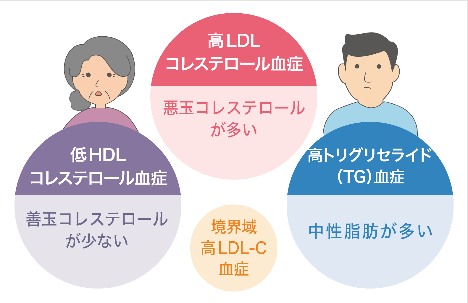 コレステロール hdl 善玉コレステロール(HDL)とは？基準値や高い原因について